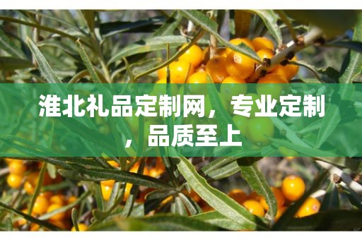 淮北礼品定制网，专业定制，品质至上